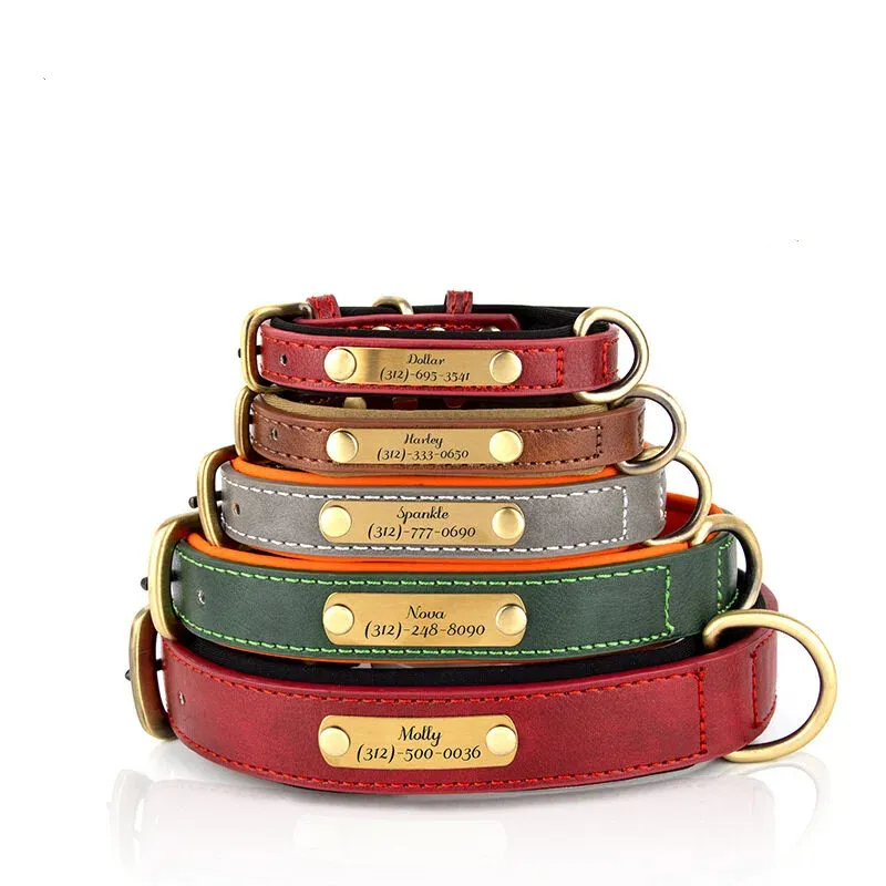 custom leather dog collar engraved - MOQ 20pcs factory direct