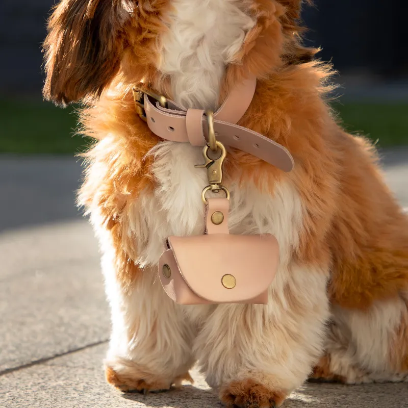 pet ring bearer collar pouch wedding - trade show giveaway supplier - view 2